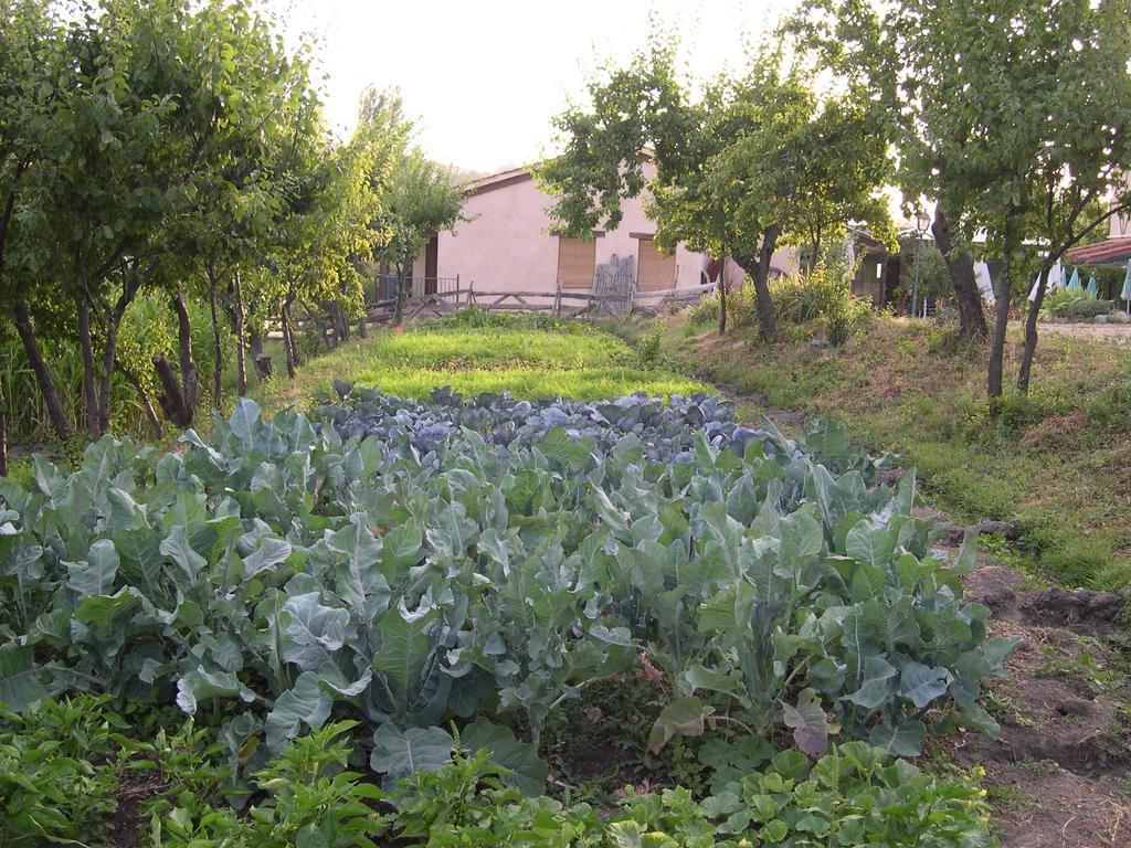 La Huerta De San Lorenzo Otel Segovia Dış mekan fotoğraf